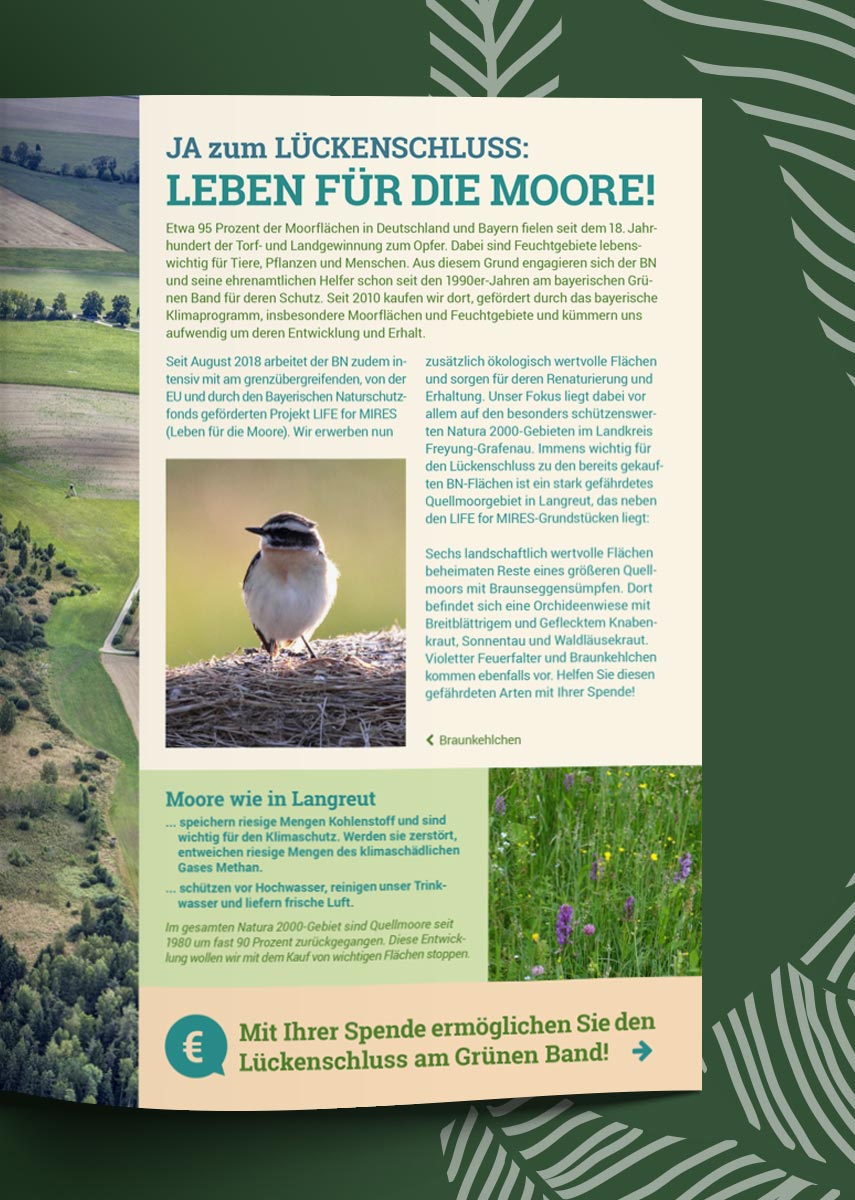 Magazin Inhaltsseite rechts Natur und Wir BUND Naturschutz